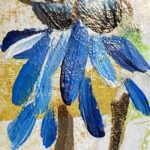 blue bird bmeo