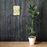 us us framed print / ARTIST: Yolanda Barreto / YBboricua Art LLC