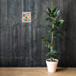 christmas framed print
