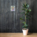 o let us adore him framed paper print