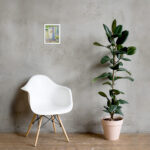 the white door framed print